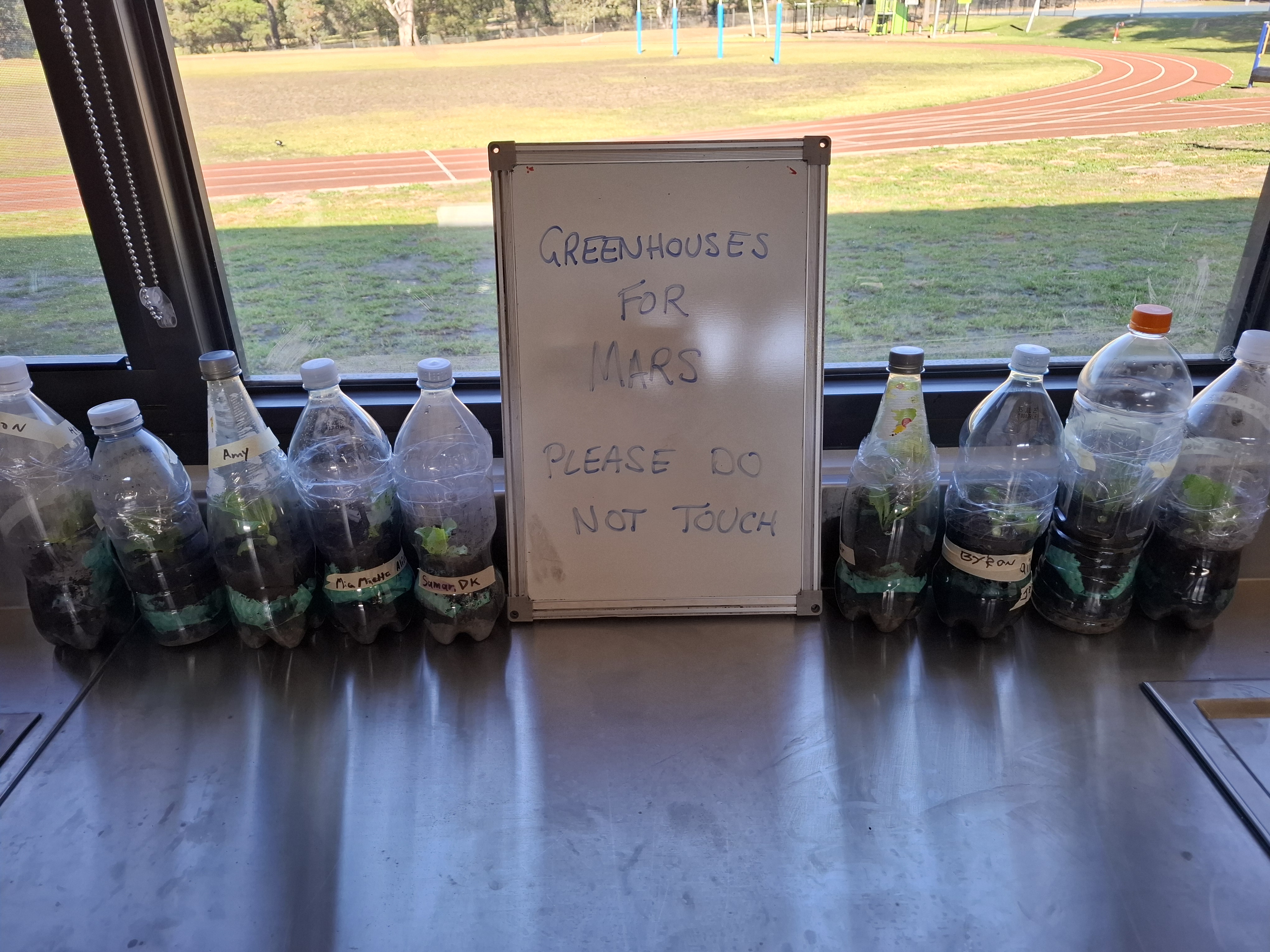 Plastic bottles of greenhouses on display by a window with a whiteboard